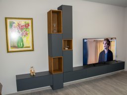 Anka-Boban-TV-polica